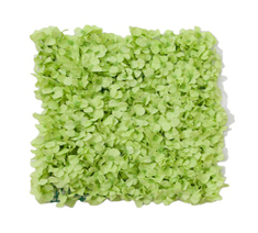 Green Hydrangea Decorative Artificial Flower Wall Mat Panel for Wedding Party