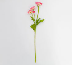 Wholesale Romantic Corn Poppy Fake Flower, Long Steam Silk Artificial Flower for Home and Wedding Decor