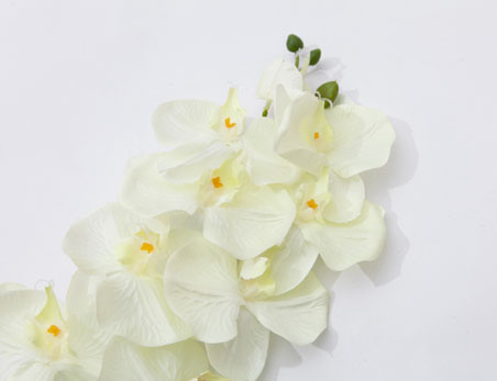 Wholesale Orchid Silk Artificial Flower, 98CM Long Steam Cream Fake Decorative Flower for Home Wedding Event