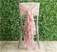 Chiffon Hoods With Curly Willow Chiffon Chair Sashes