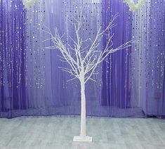 White Manzanita Centerpiece Tree