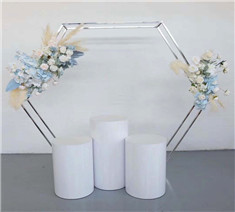 Wholesale Metal Polygonal Arch Backdrop For Party Wedding Decoration