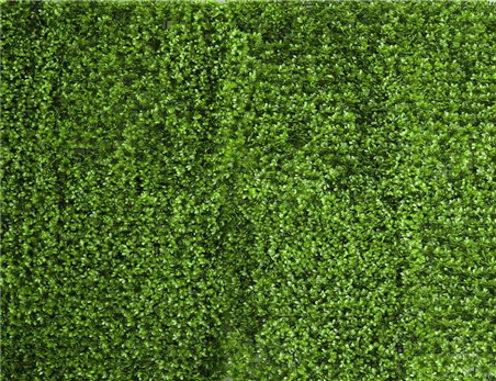 Professional Artificial Green Plant Wall Panel Outdoor Decoration for Banquet Party Home Wedding Supplier