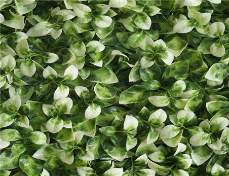 Professional Artificial Green Plant Wall Panel Outdoor Decoration for Banquet Party Home Wedding Supplier